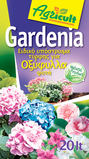 Gardenia